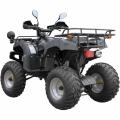  Spark SP175-1